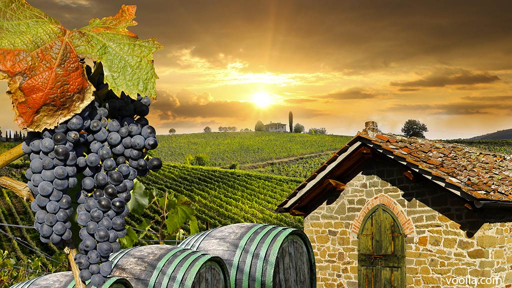 Agriturismo in Toscana