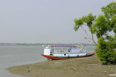  Foresta Sundarbans
